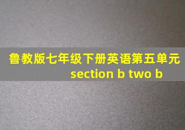 鲁教版七年级下册英语第五单元section b two b